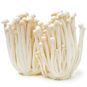Enoki